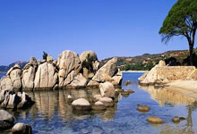 开云体育入口-印尼队横扫日本队，黄鸭组合高光表现