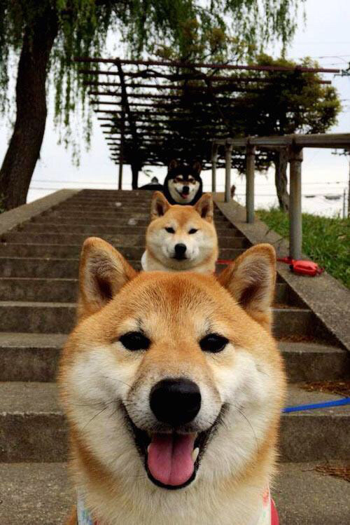 红海裂开的那一刻，当埃及在时空中险胜AC米兰，恩佐在美加墨接管了比赛