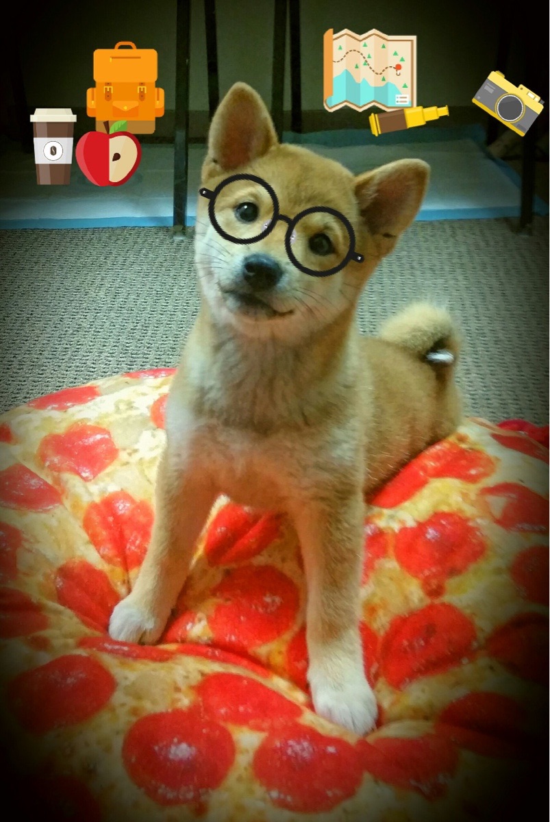 开云体育-当丹佛高原遇上天山脚下，约基奇评分拉满之夜，尼克斯跨越半球客场击败新疆