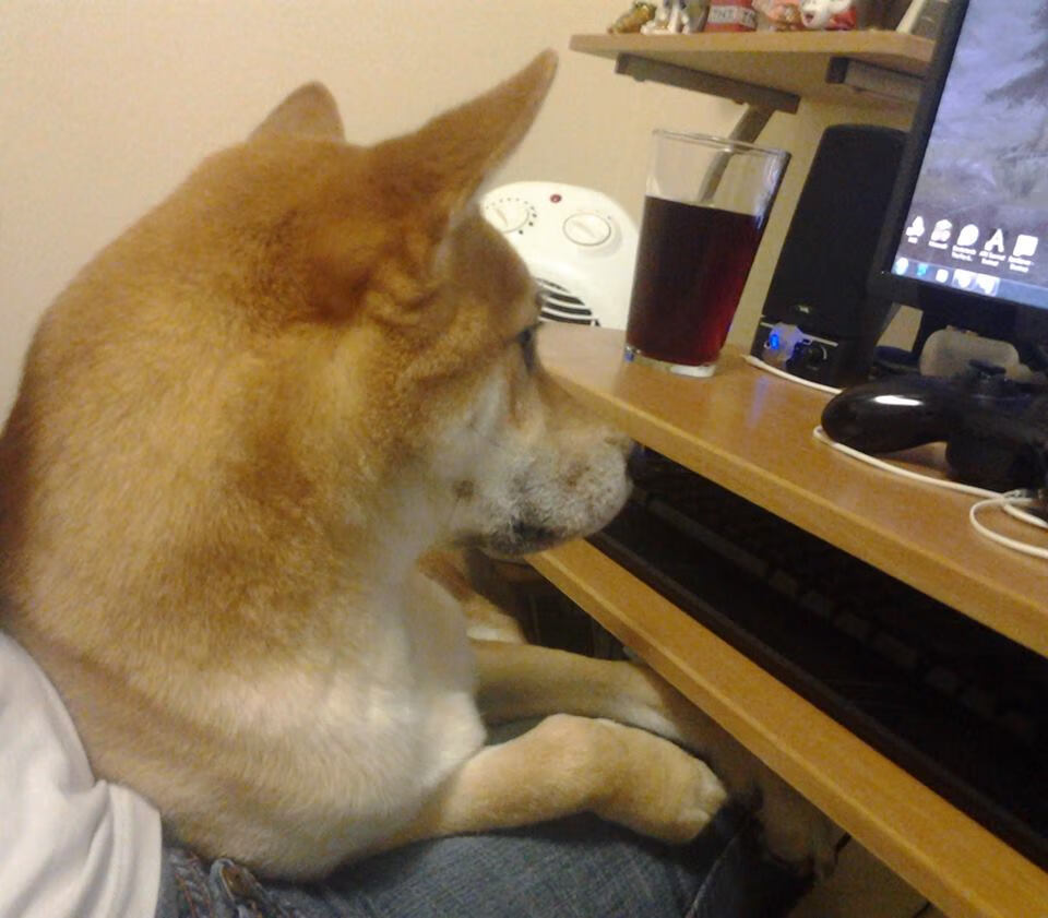 最小星辰的最亮夜晚,范弗利特的抢七神话