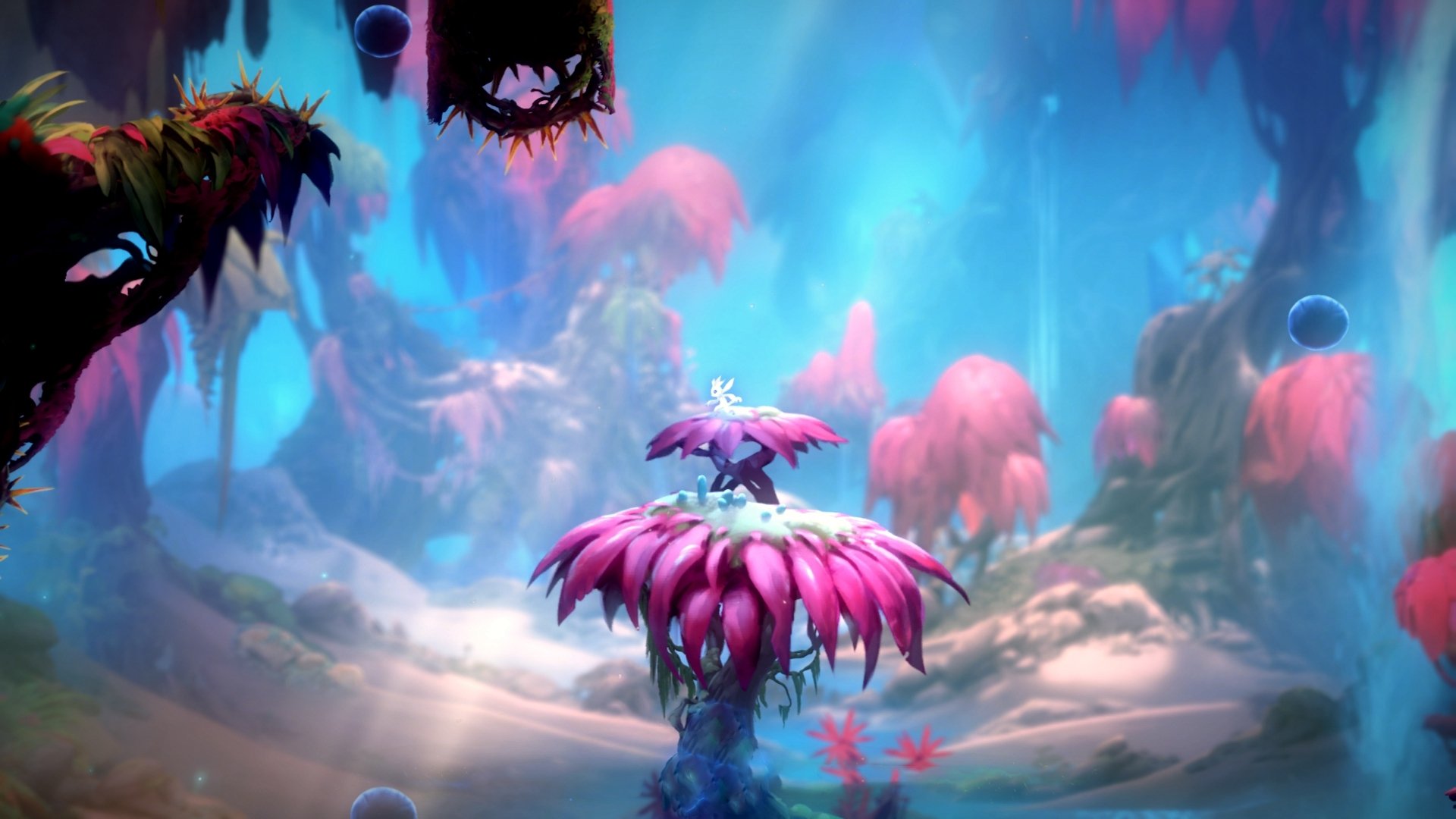 范弗利特一战封神，森林狼对阵雷霆中的无争议MVP