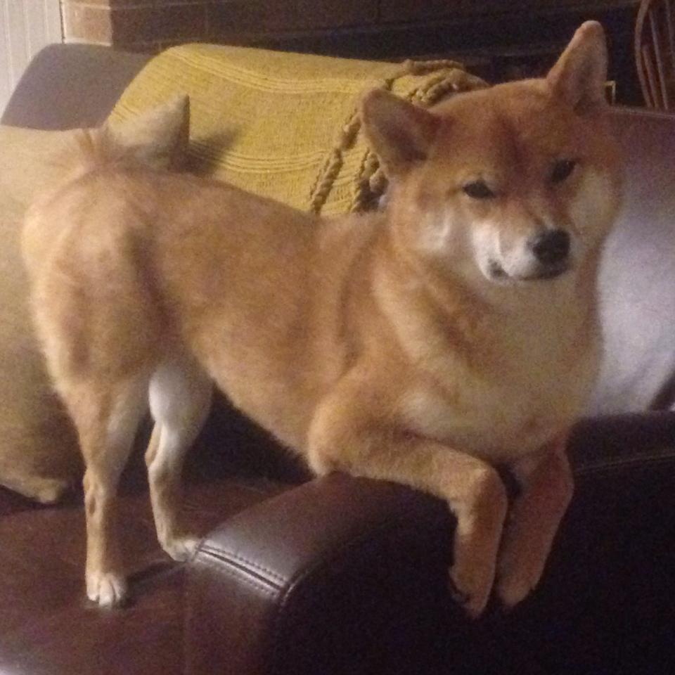 精密的日式机械与咆哮的北方巨人,当莱比锡的团队齿轮遭遇莱万的个人风暴