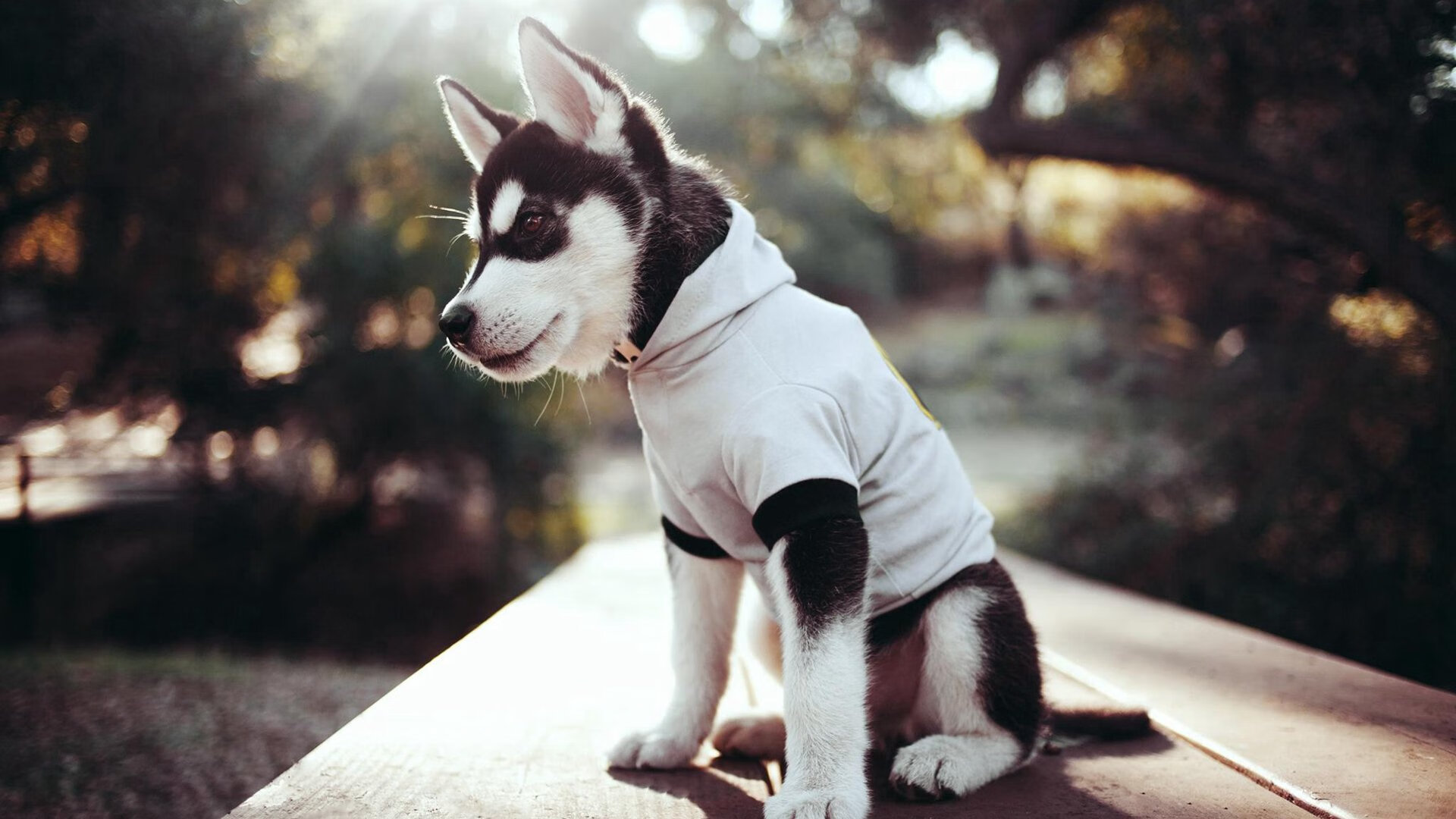 双线战场，东方铁血与西方天赋，一场团队的背水重生与一位巨星的关键接管