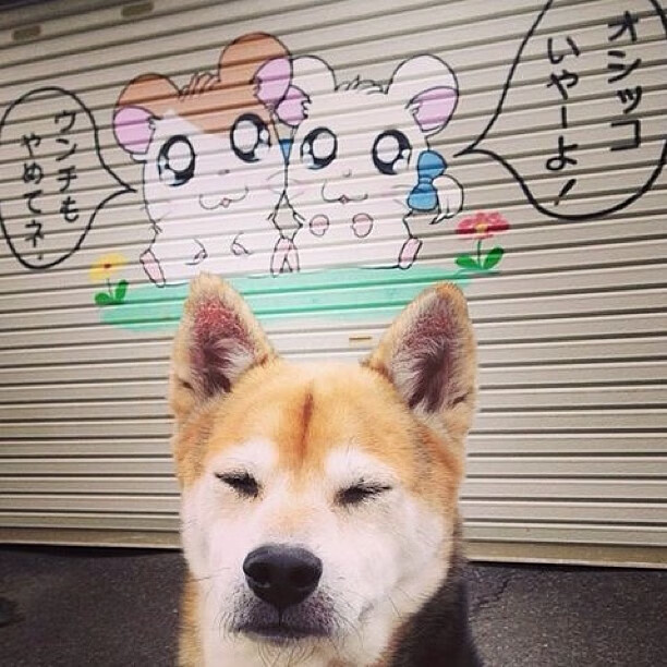 心脏在10.2秒,马克西如何让时间臣服于节奏