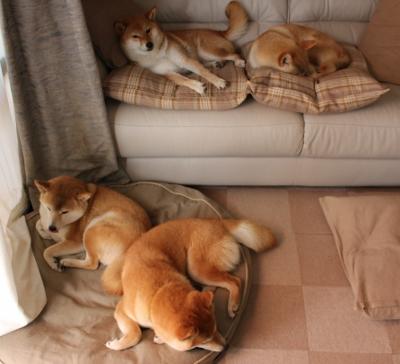 当吉林队112-66碾压热火,我在梦中见证保罗的生涯之夜