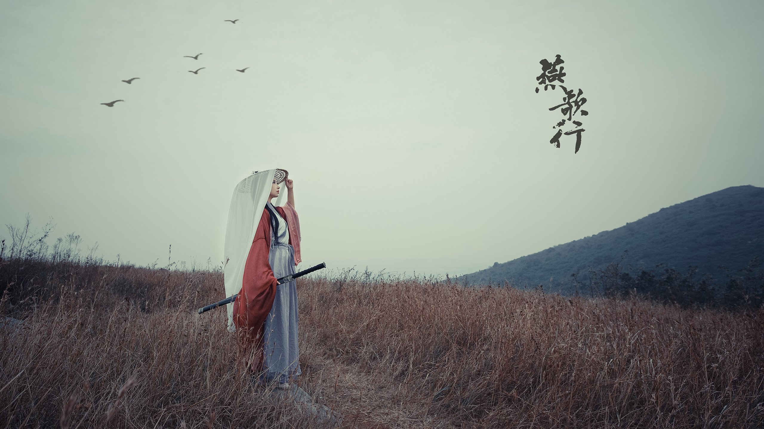 国王对阵辽宁队,约基奇用一场球商风暴,证明了篮球最坚固的壁垒