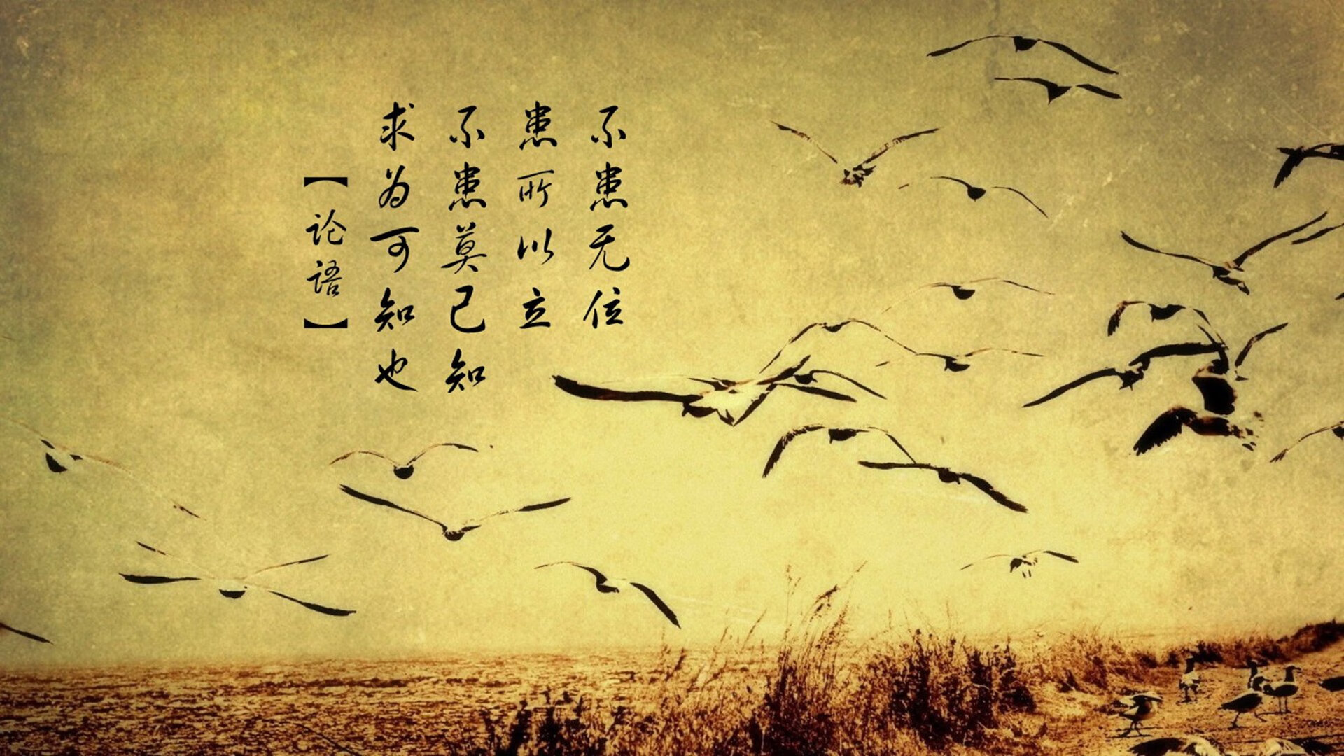 数据王者与空间革命，当戈贝尔虚拟统治CBA内线