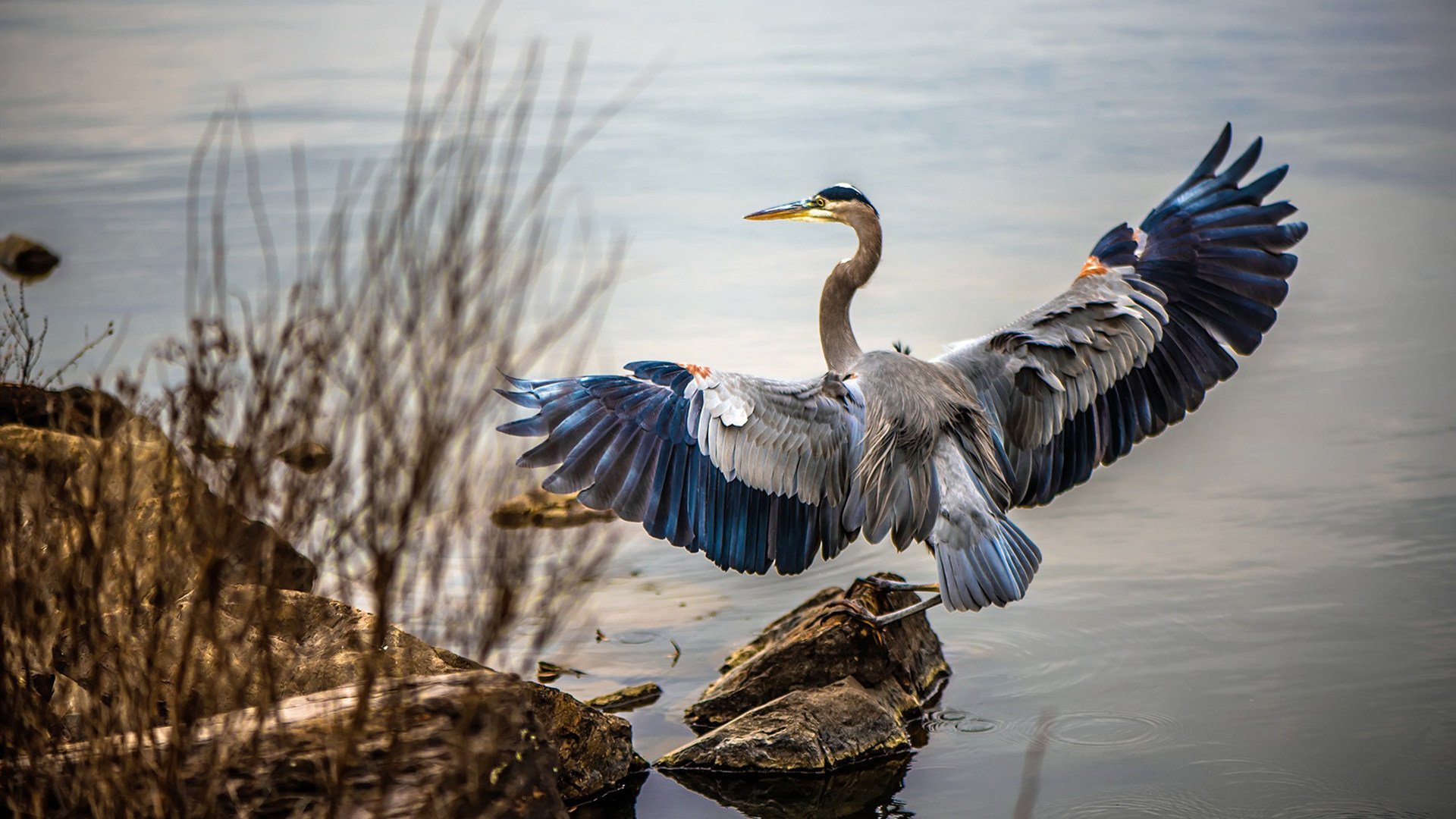 锋芒与铁壁，奥亚尔萨瓦尔的锐利撕扯，马竞的体系化压制