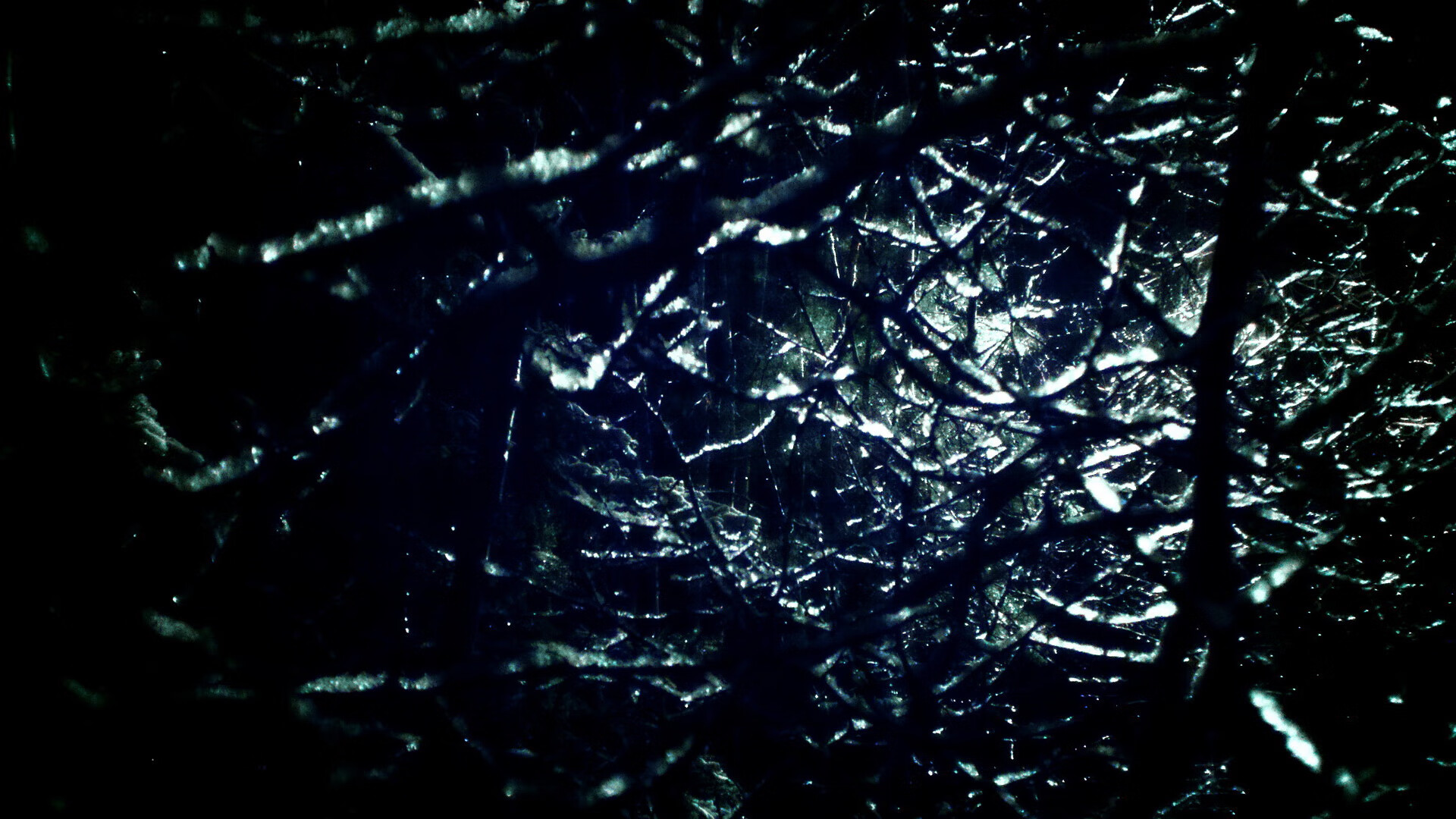 南美火焰点燃澳洲铁骑，阿劳霍惊世绝杀助力澳大利亚力克罗马军团