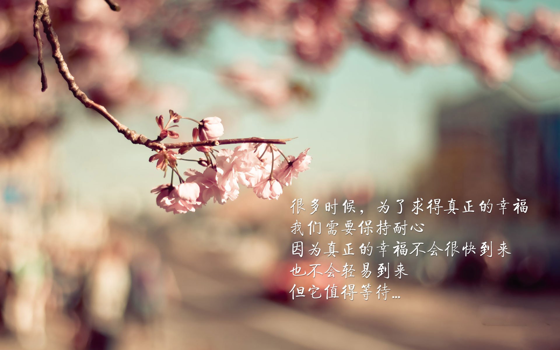 当勇士队迎来自己的欧冠淘汰赛,斯蒂芬·库里的孤星闪耀时刻