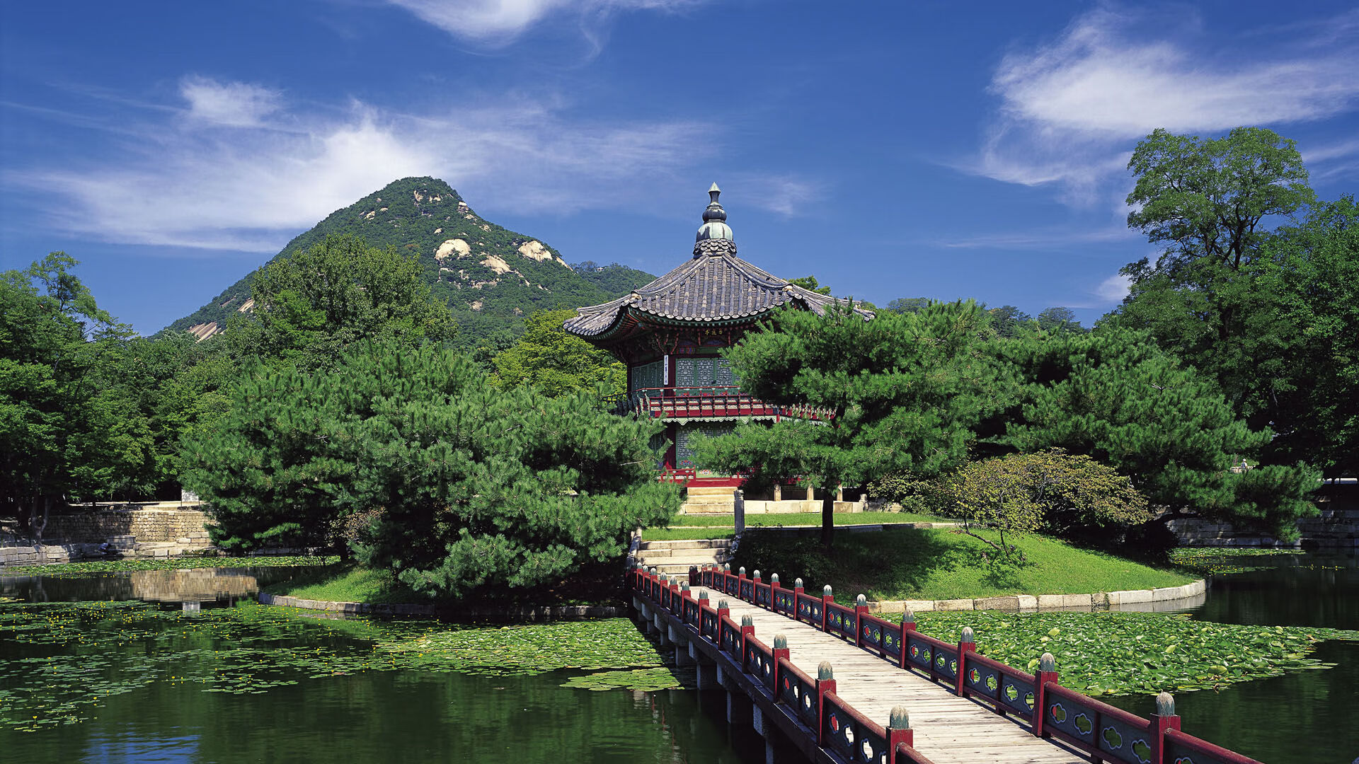 逆袭者的盾牌,洪都拉斯如何压制卡塔尔,坎特成为关键先生