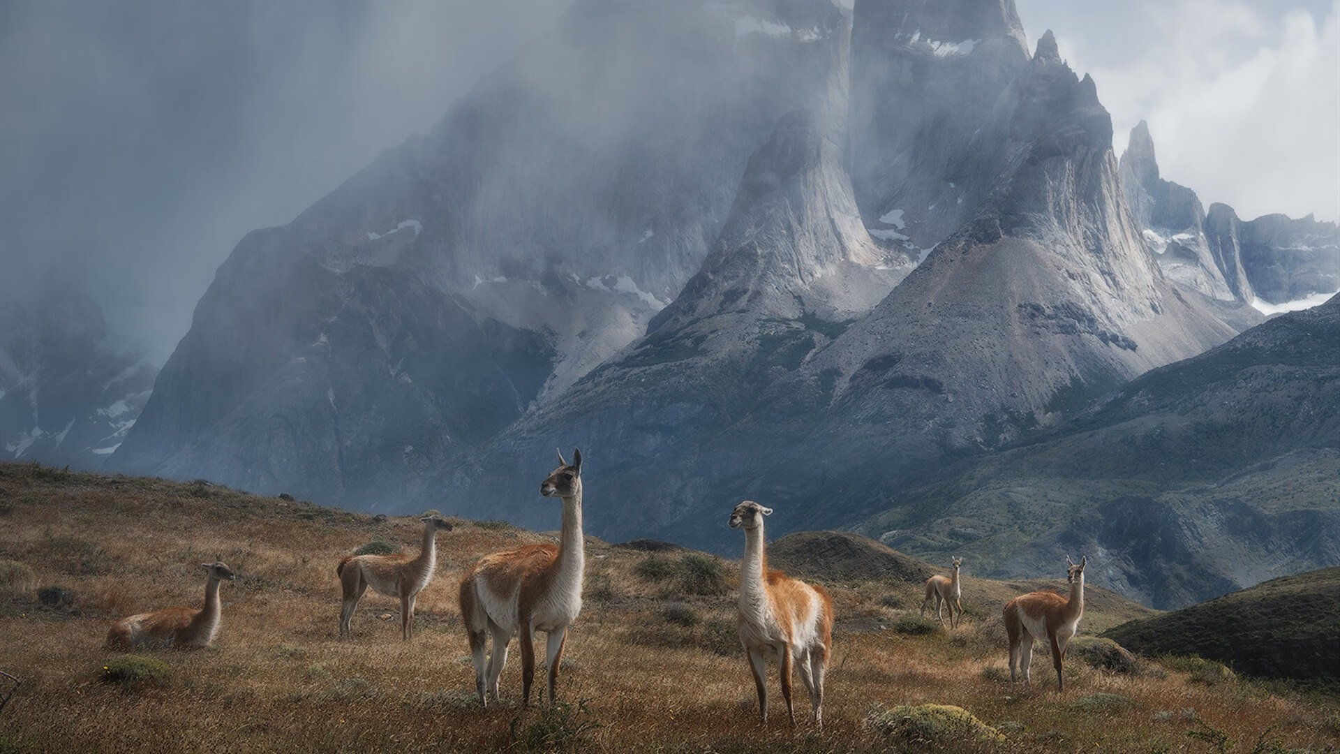 开云体育平台APP-范戴克后防爆发定乾坤，几内亚尖刀凯塔收割多特蒙德