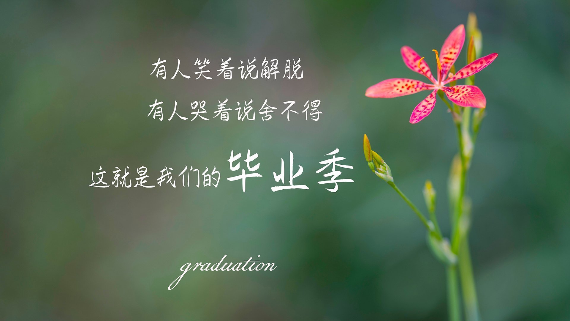 开云sport-无解的密钥，当精密战术成为艺术