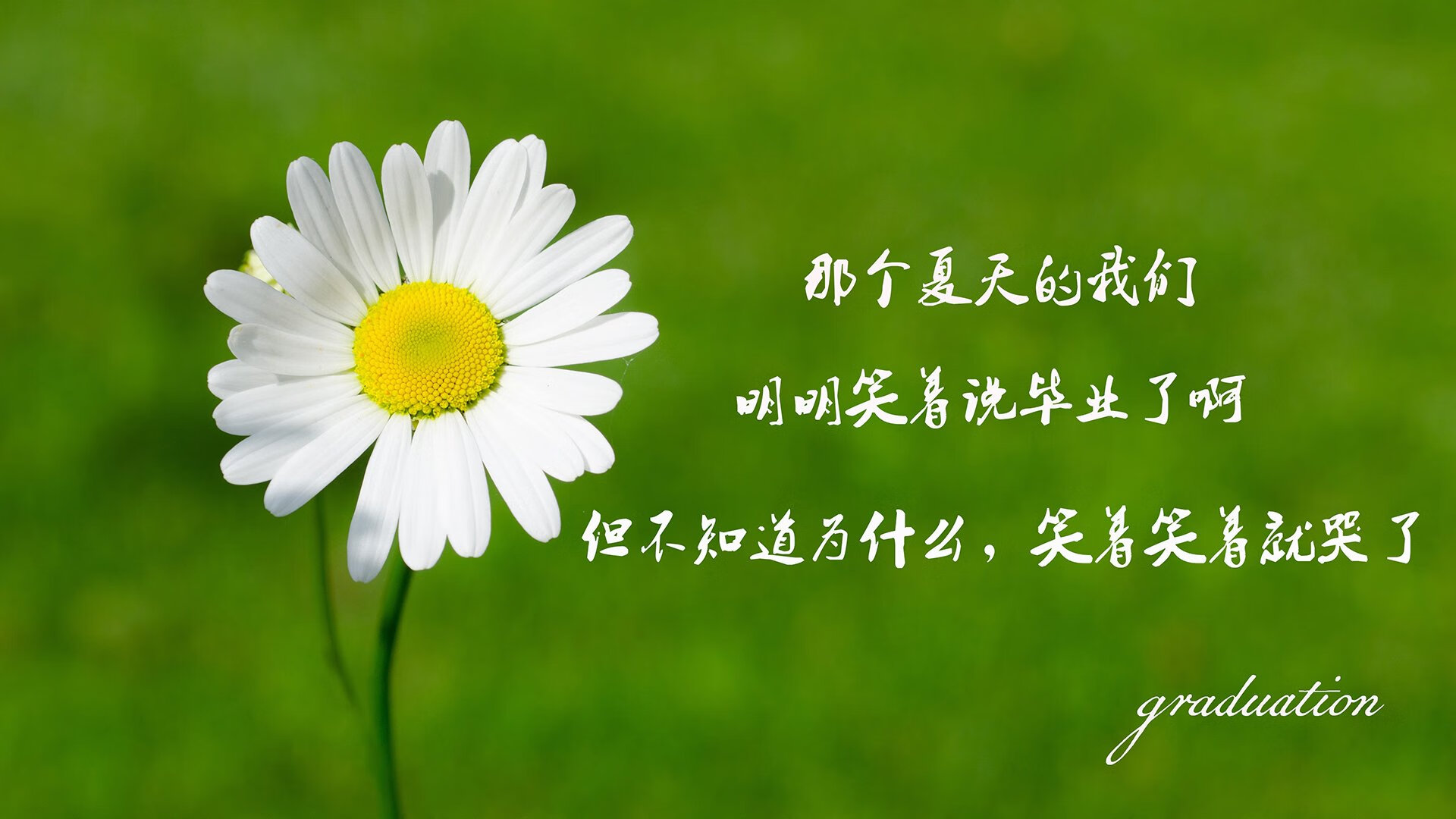 东方纪律撕裂西方天赋，哈利伯顿在深圳的跨洋统治之战
