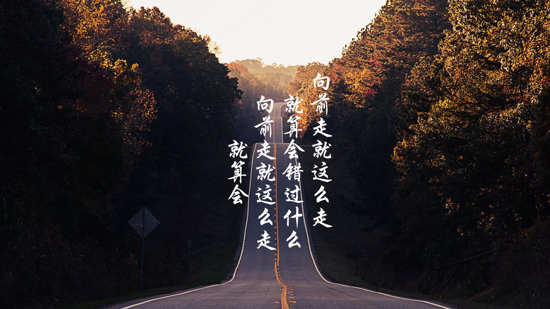 铁幕下的孤勇，2026世界杯F组，匈牙利用坎塞洛时刻与美国演绎唯一性的生死存亡