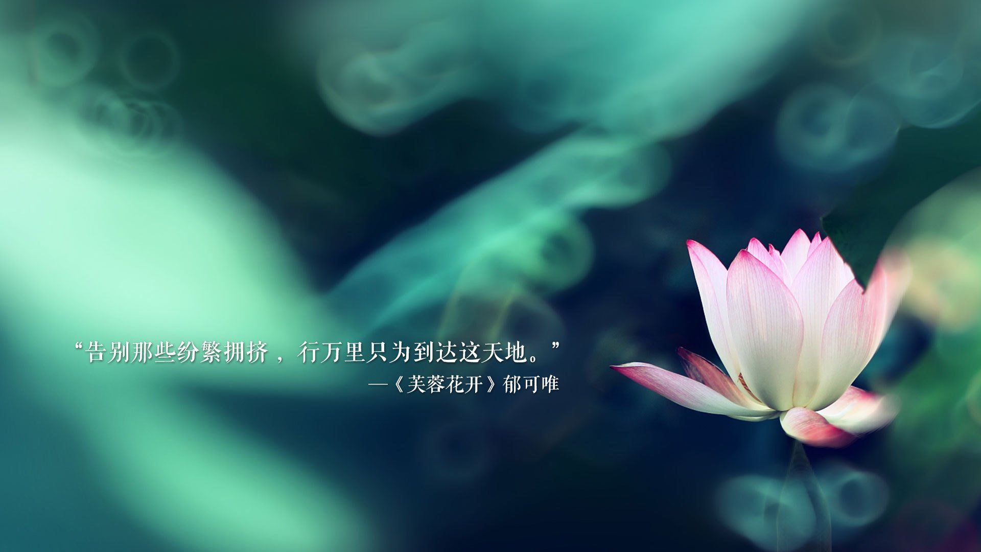 上帝之手与北欧风暴，2026世界杯半决赛，一张红牌、两次神扑与哈基米的孤胆狂奔，铸就巴西九死一生的险胜