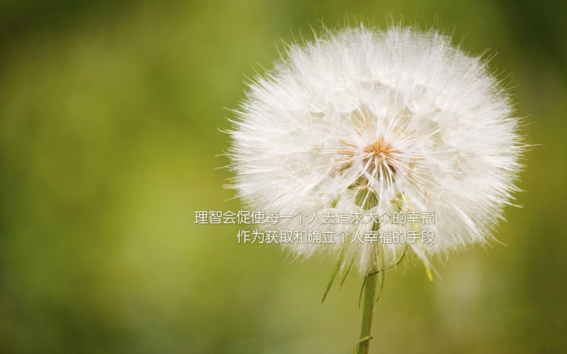 开云体育2026-2026世界杯A组，C罗南美首秀封神，智利霸主碾压哥斯达黎加