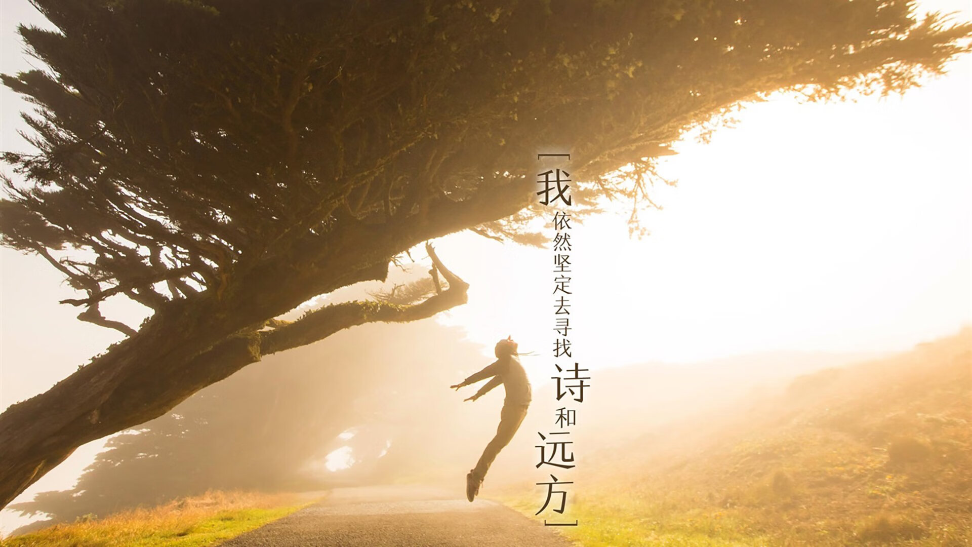 潮汐的悖论，范戴克一剑封喉，摩洛哥的压制为何沦为斯洛伐克节奏的祭品